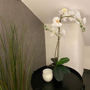 Eine Schoene Wohnung An Der Birs